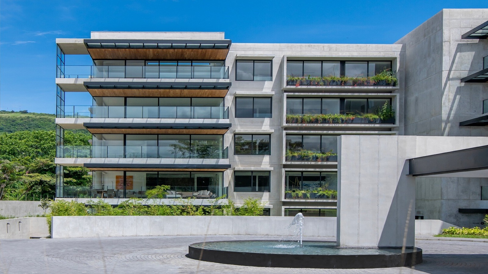 Descripción del SVG