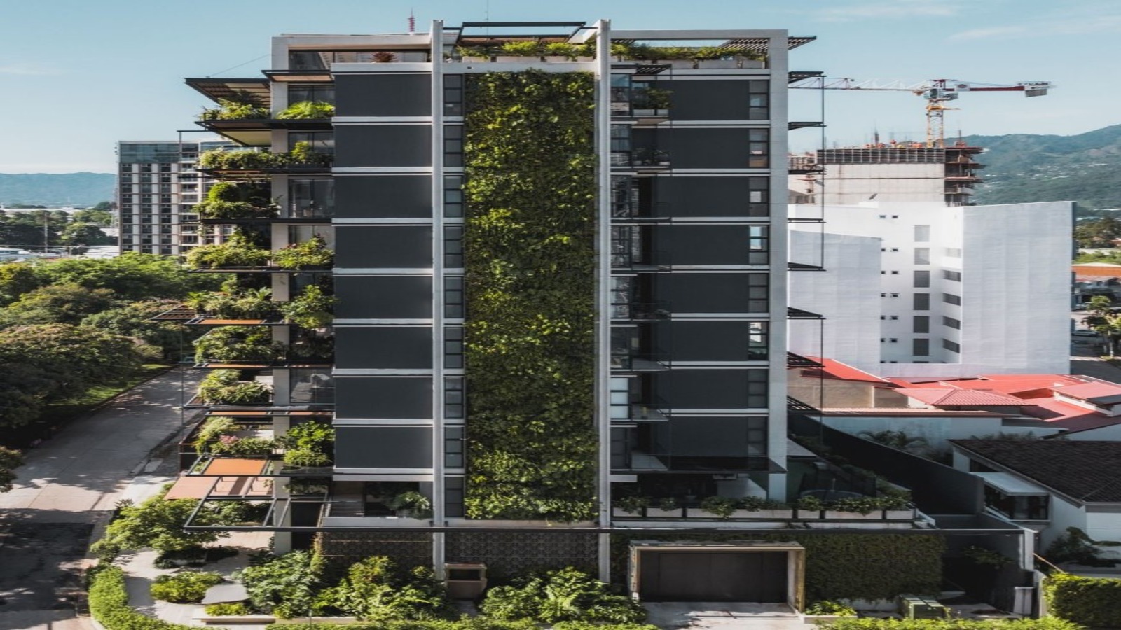 Descripción del SVG