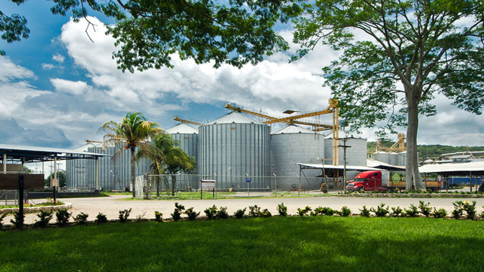 Descripción del SVG