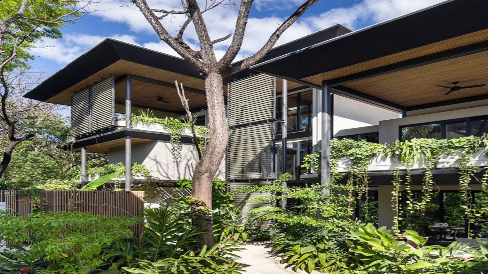 Descripción del SVG